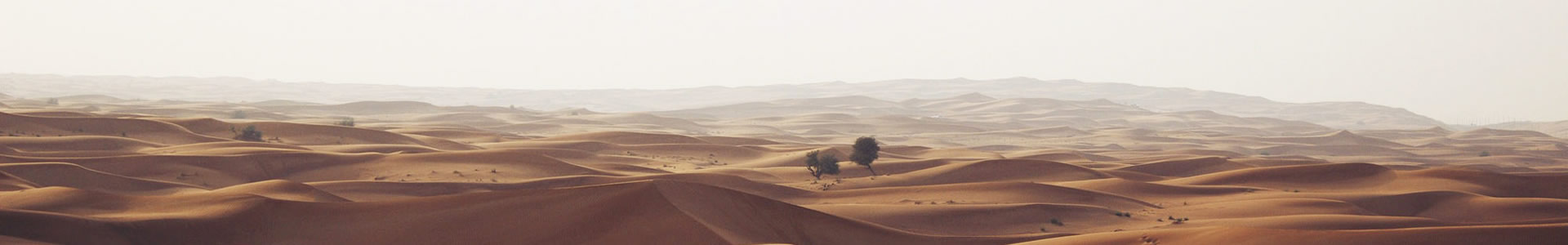 ΪеƼ޹˾